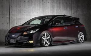 Nissan Leaf by Kuhl Racing '2019